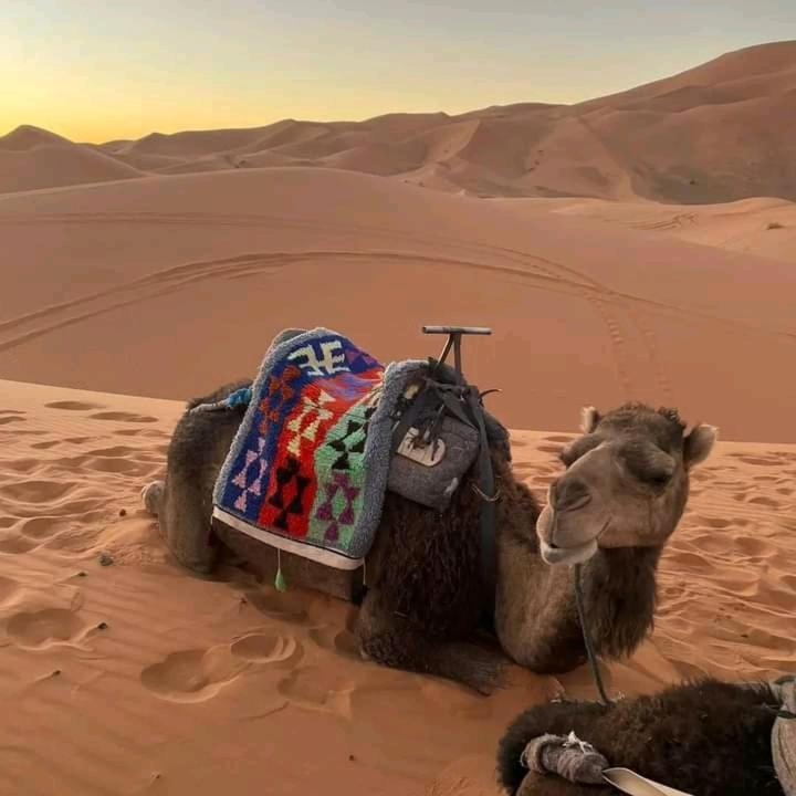 Kasbah Ait Arbi Hotell Ait Ougliff Eksteriør bilde